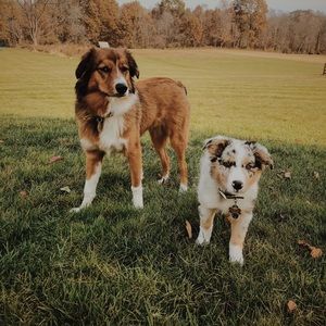 Meet your Posher, Miranda